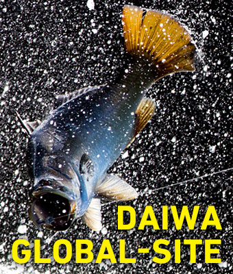 DAIWA GLOBAL-SITE