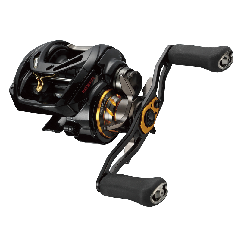 mtPE_1000SHLTW_zoom.png?keepThis=true&am