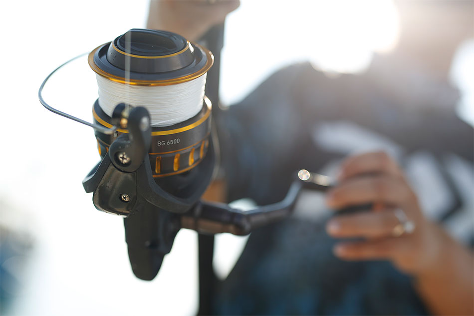 Daiwa  BG SPINNING REELS