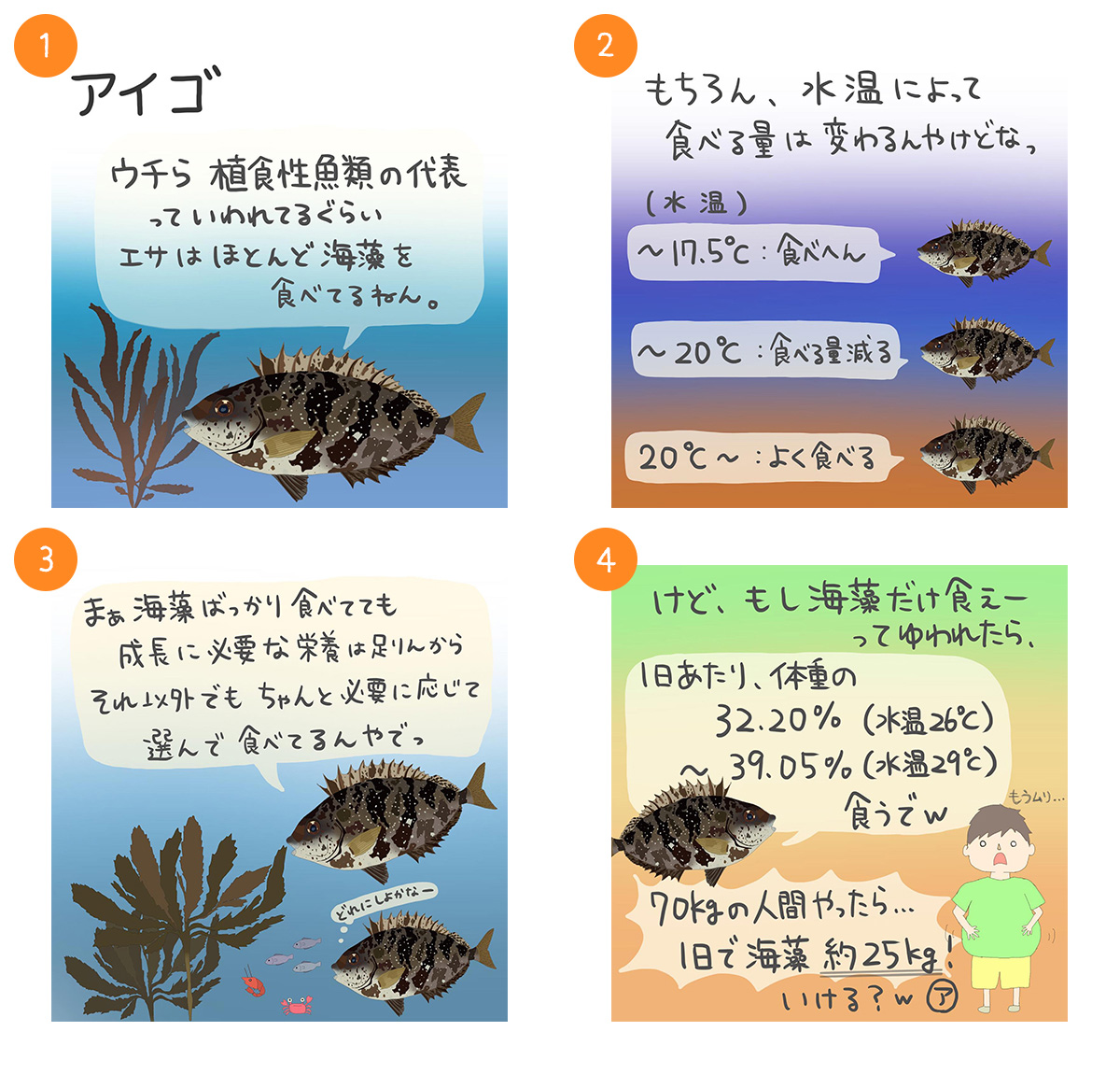 アイゴ
