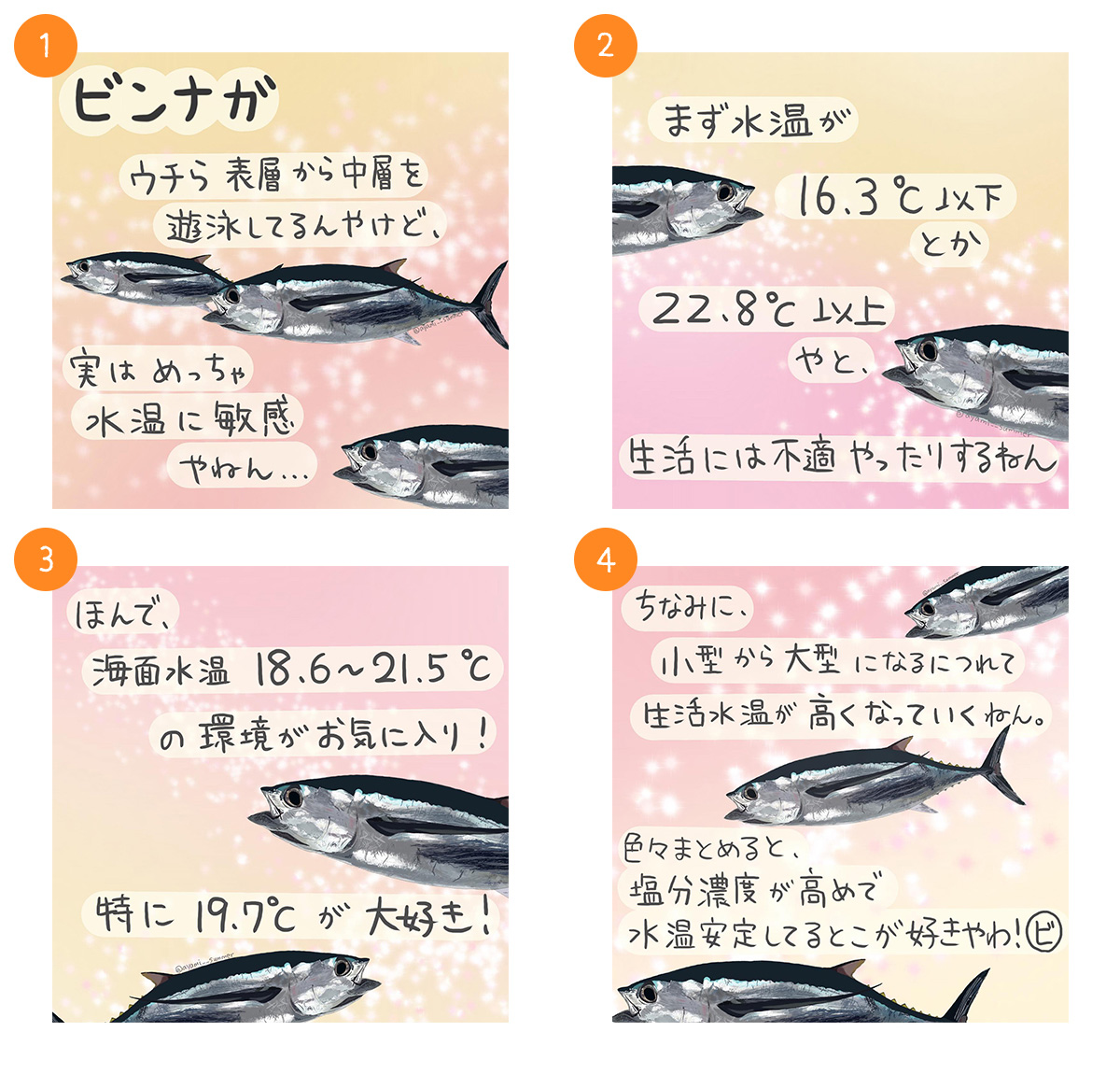 ビンナガ