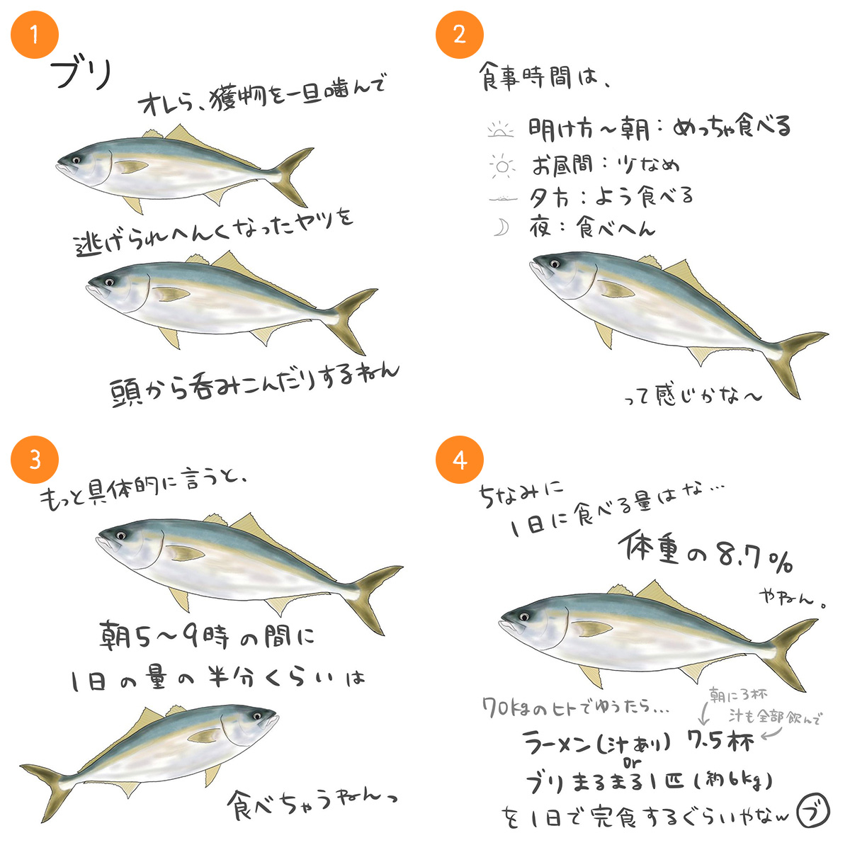 ブリ