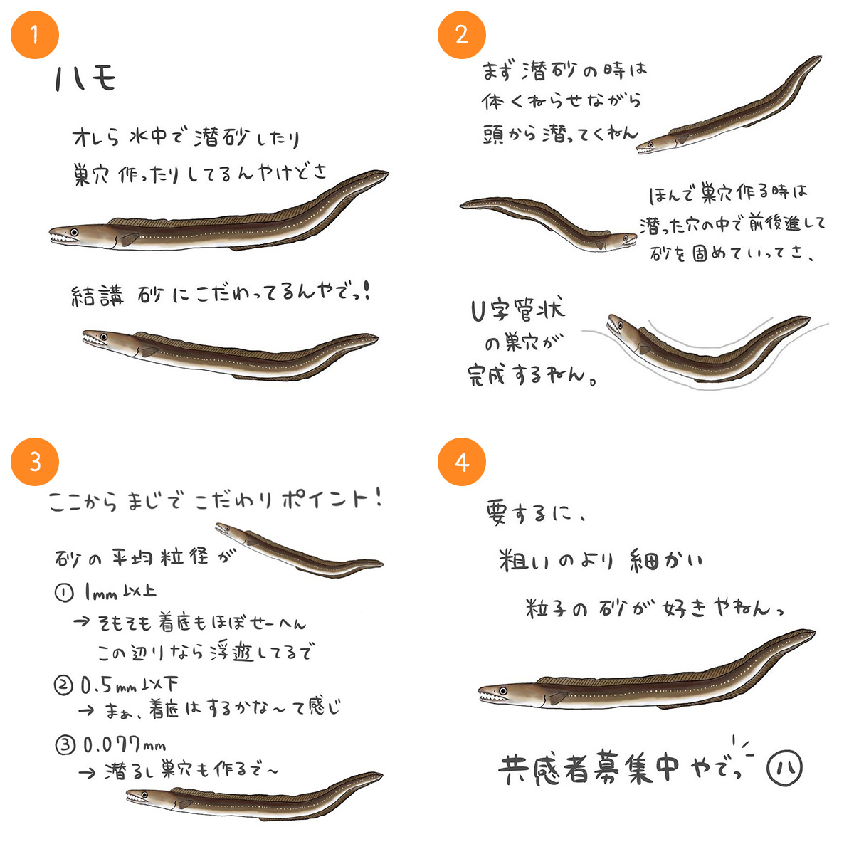 ハモ