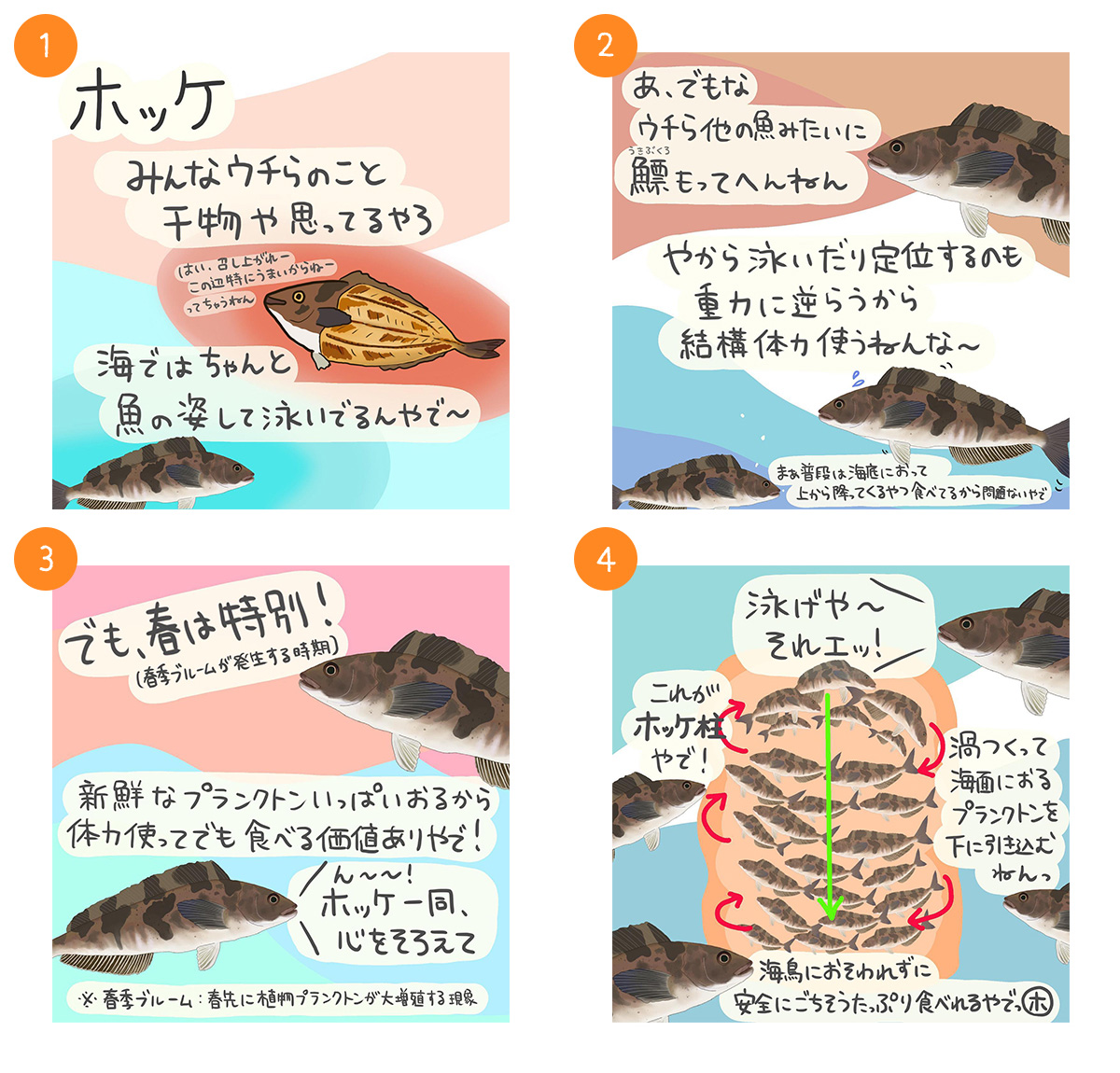 ホッケ