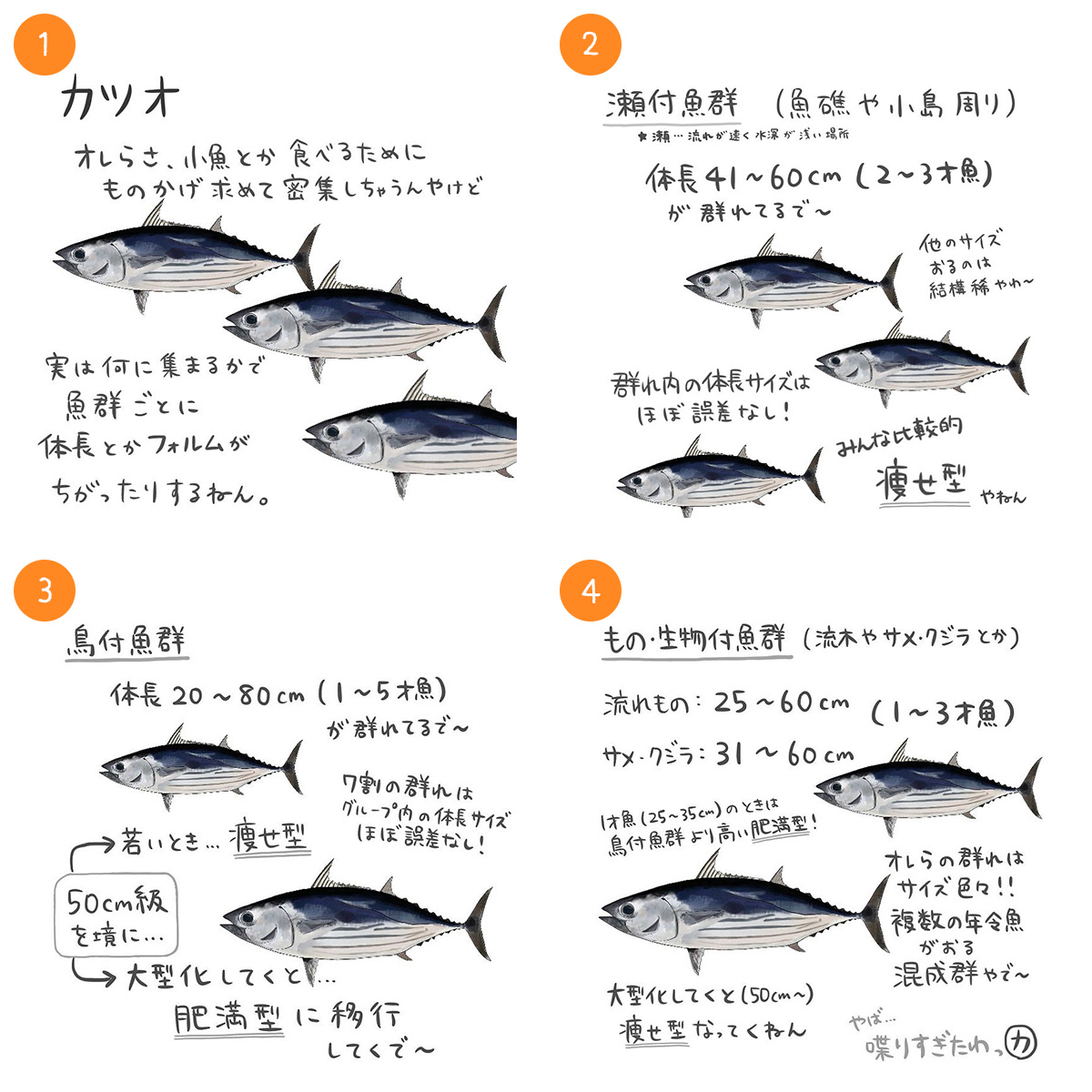 カツオ