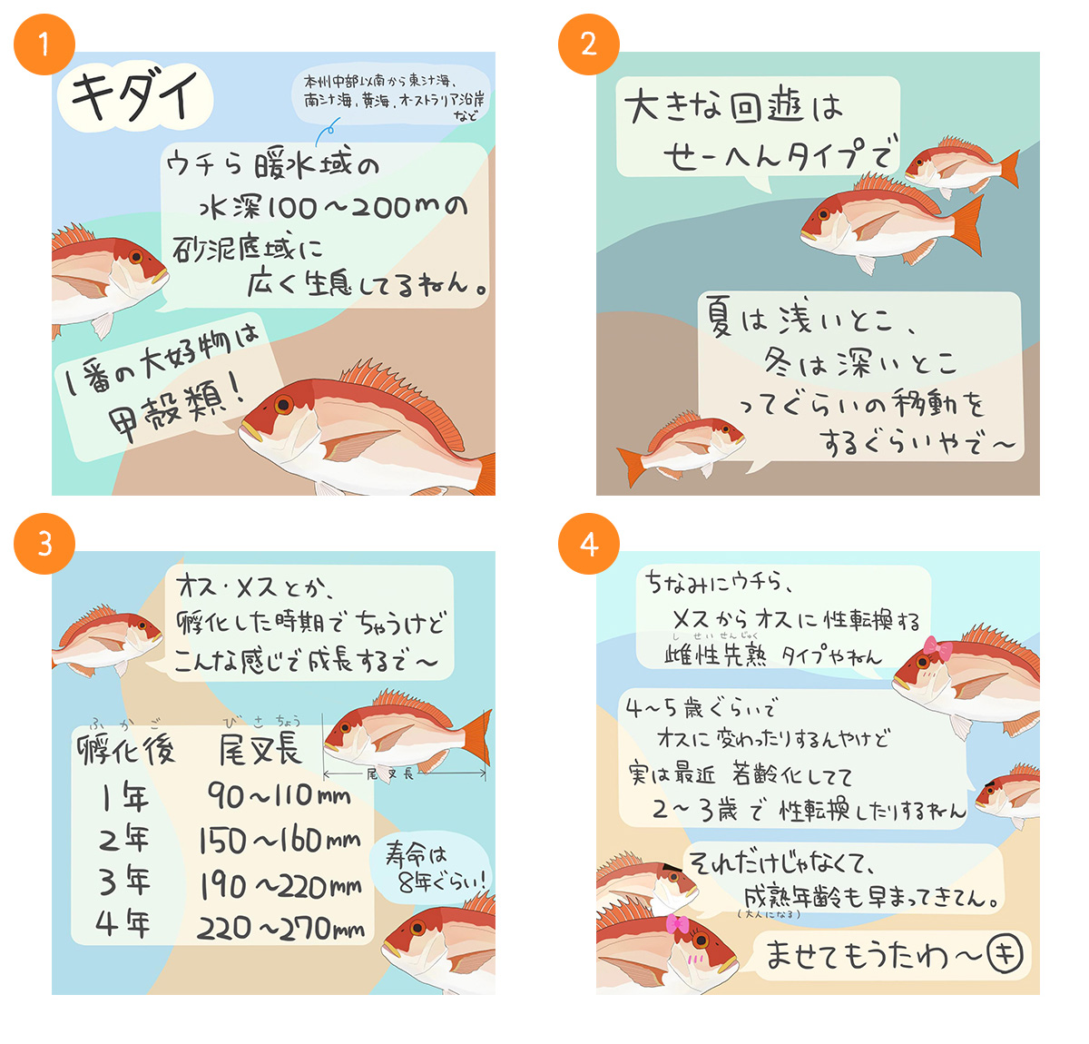 キダイ