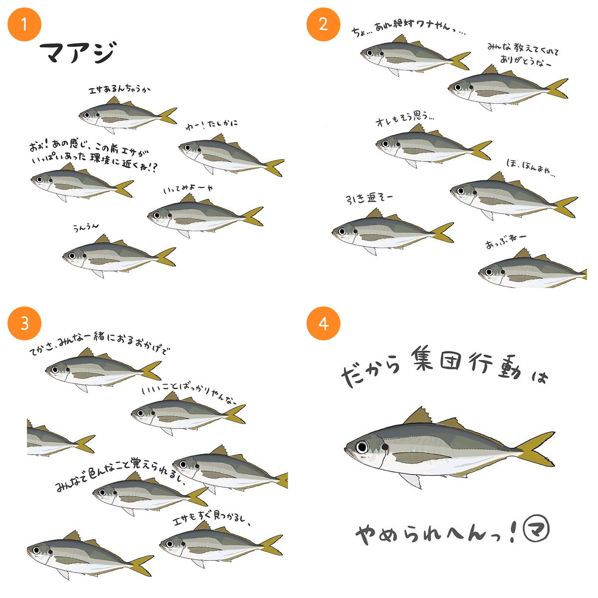 マアジ