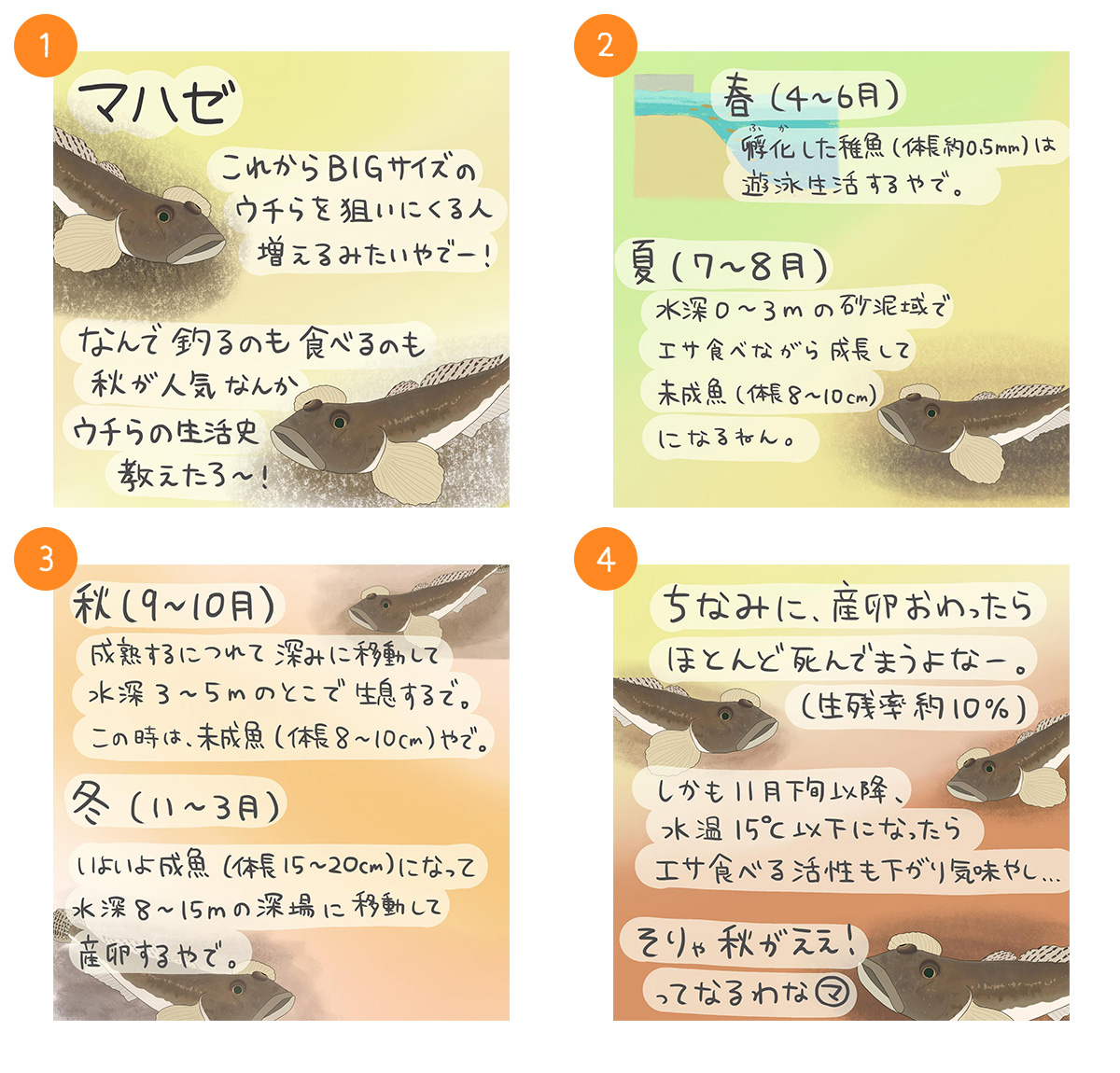 マハゼ