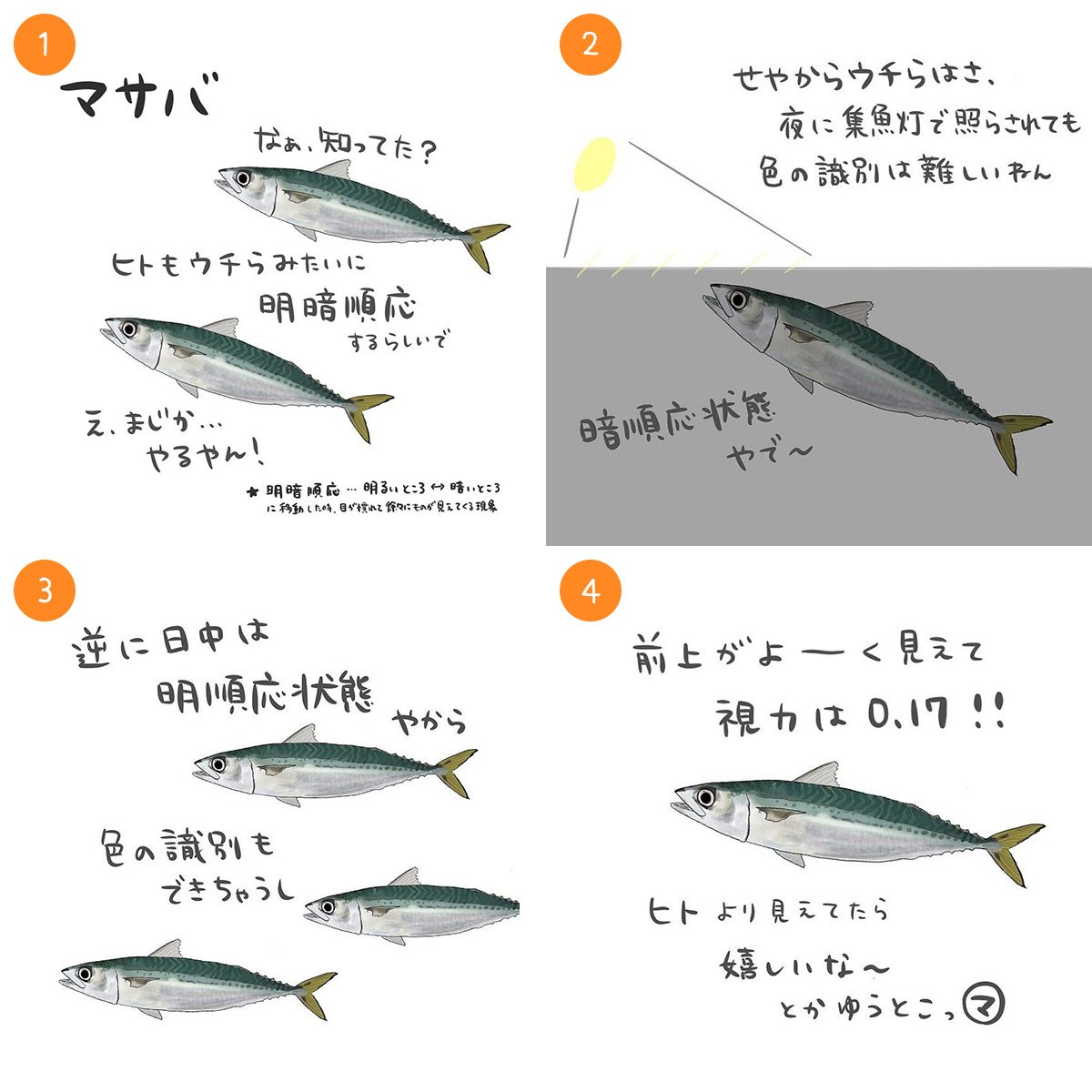 マサバ