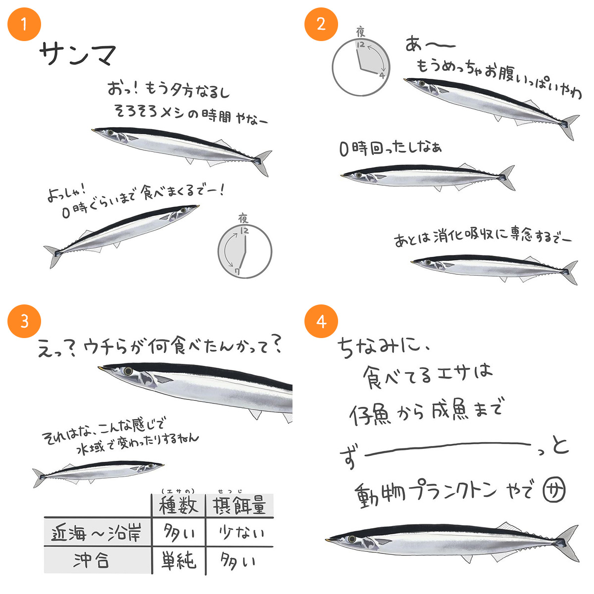 サンマ