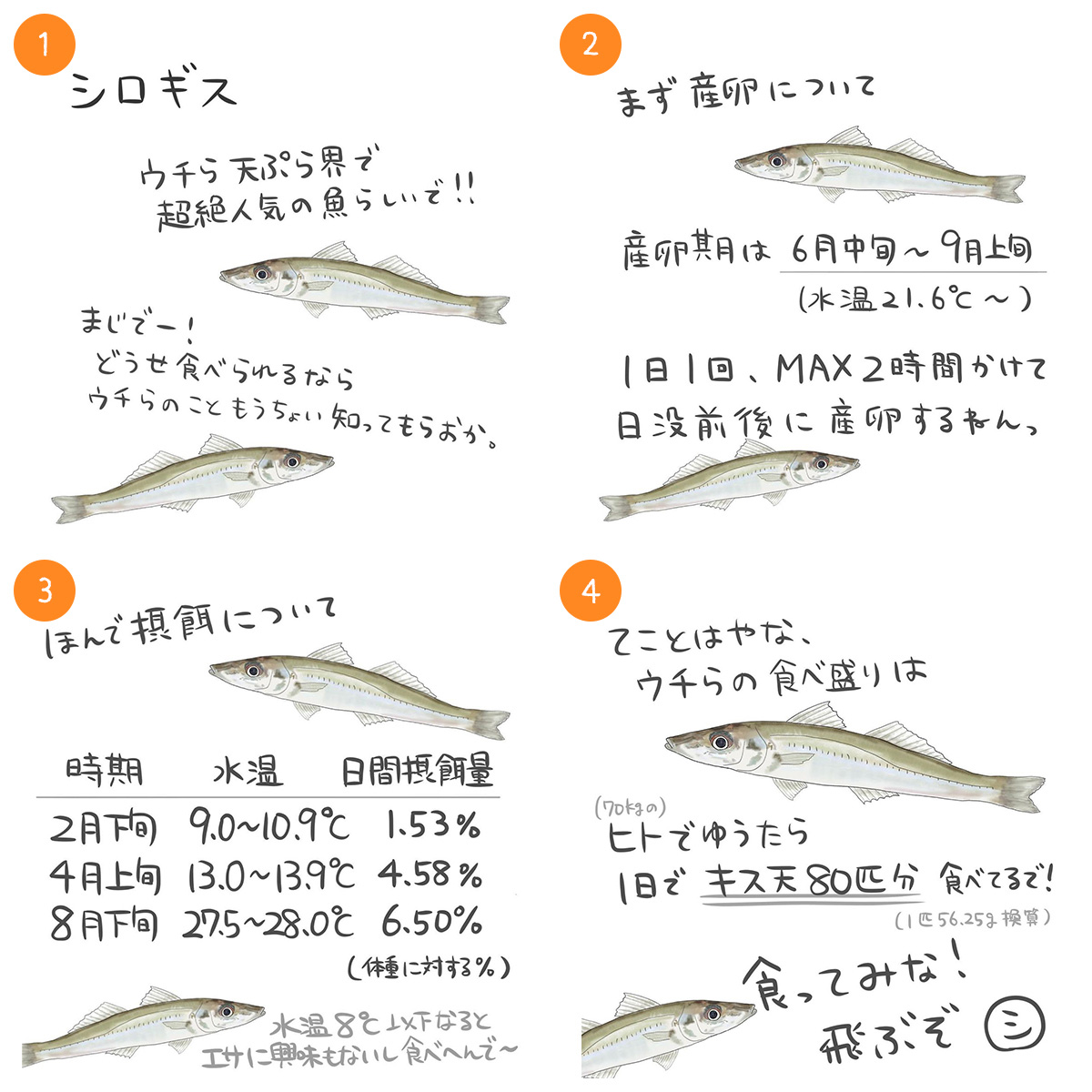 シロギス