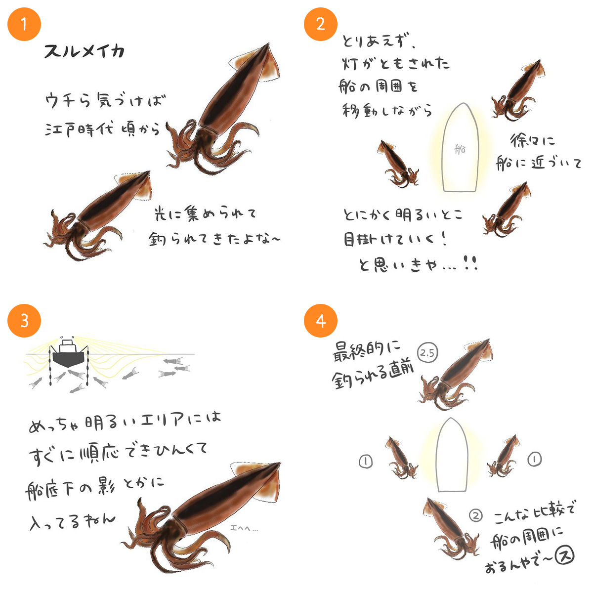スルメイカ