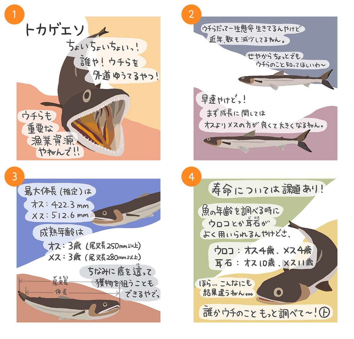 トカゲエソ