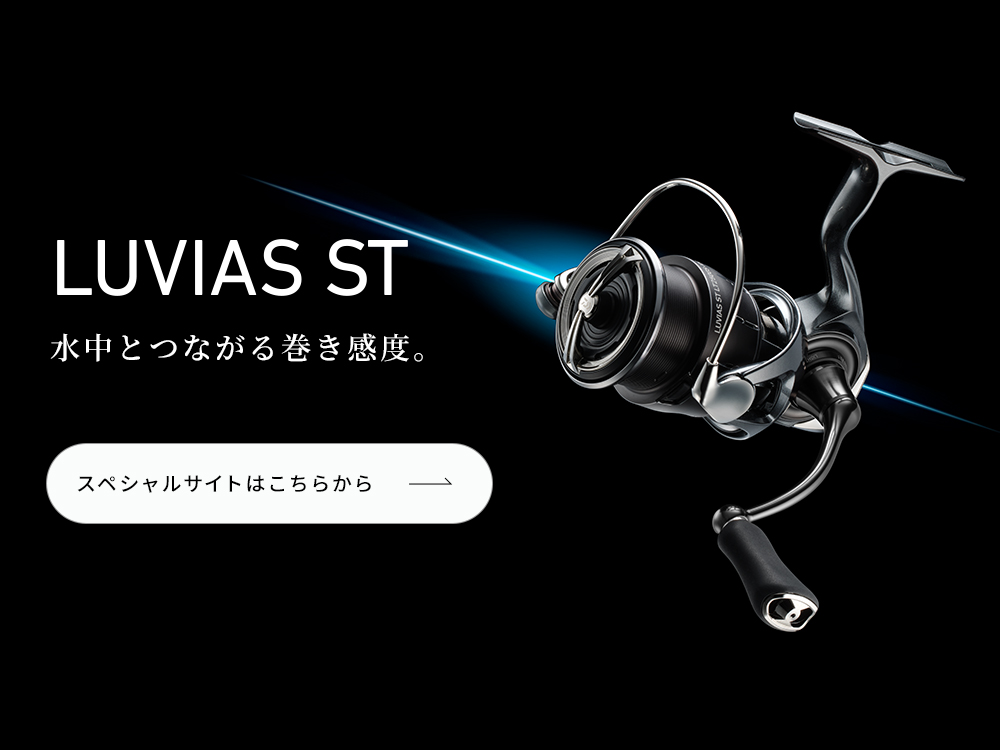 ルビアスST スペシャルページへのリンク