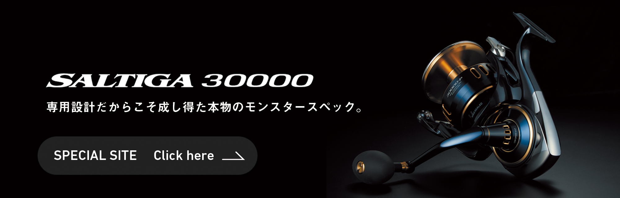 ソルティガ 30000スペシャルページへのリンク