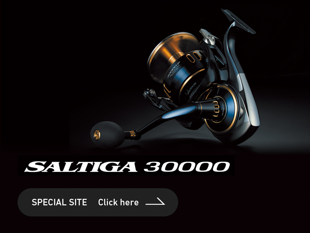 ソルティガ 30000スペシャルページへのリンク