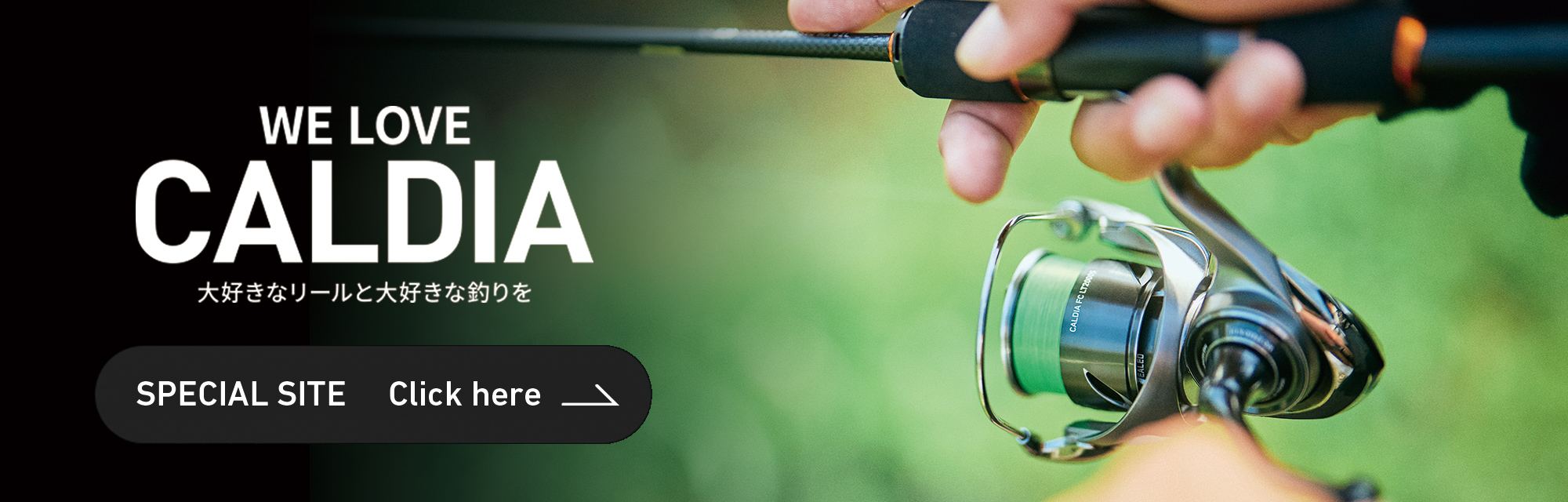 DAIWA CALDIA FC LT2500S リール グリーンライン付き DAIWA CALDIA FC LT2500S リール グリーンライン付き ダイワ