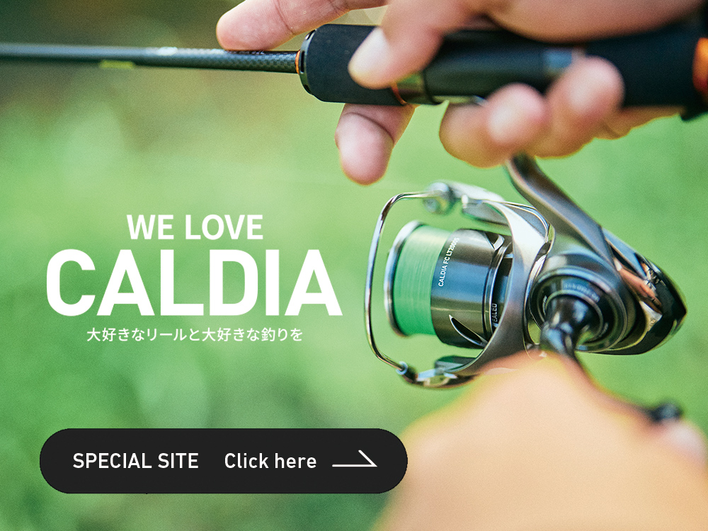 21 カルディア LT 2500s CALDIA Daiwa スピニングリール DAIWA（釣り） ダイワ 21カルディア FC LT1000S スピニング