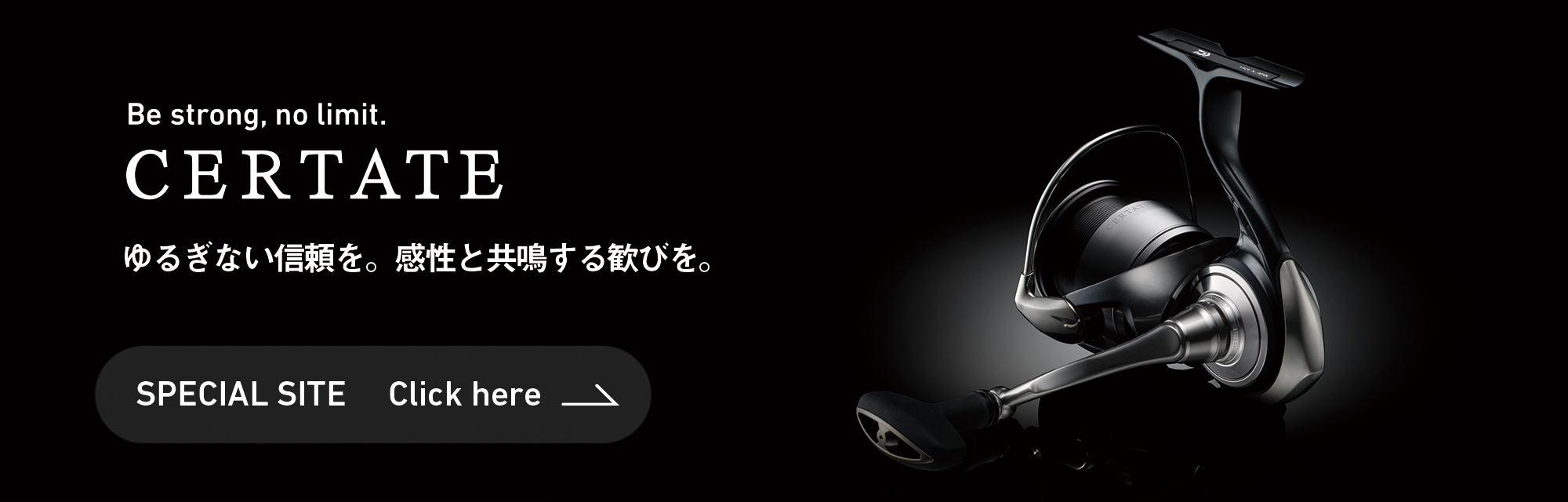 24セルテートスペシャルサイト