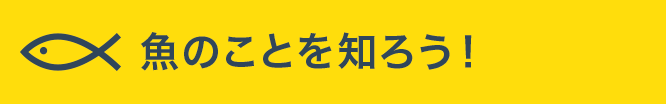 魚のことを知ろう！