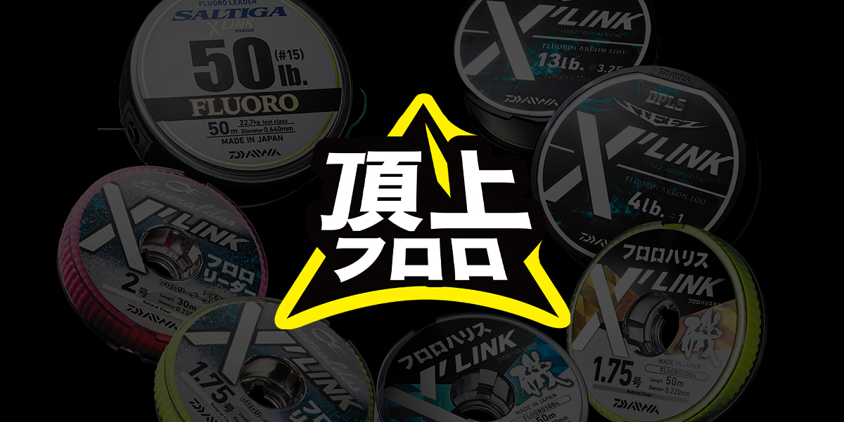 頂上フロロ