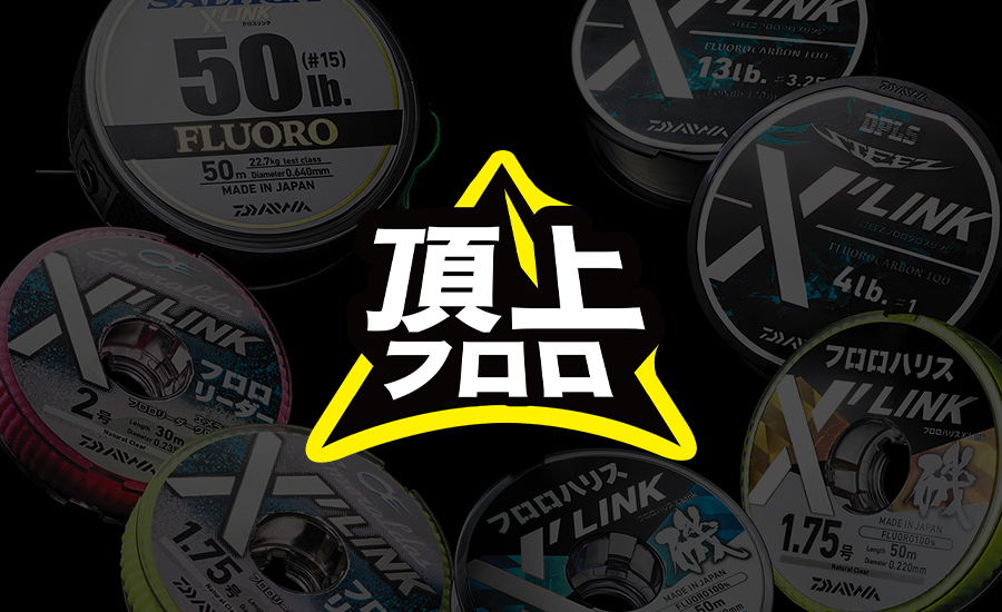 頂上フロロ