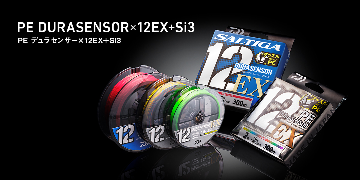 PE デュラセンサー×12EX＋Si3