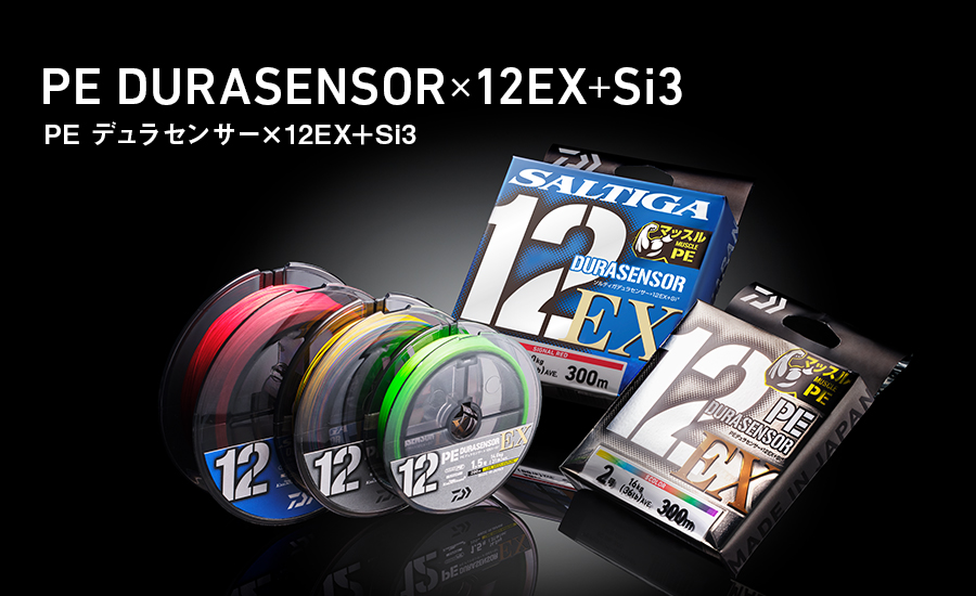 PE デュラセンサー×12EX＋Si3