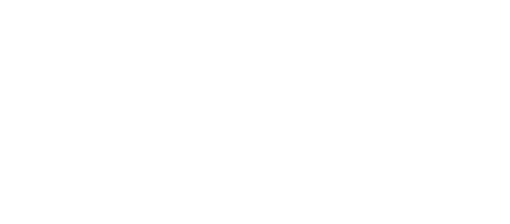 JOG POWER LEVER