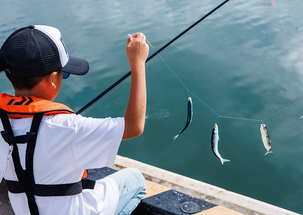 D.Y.F.C海釣りスクールは大漁で終了