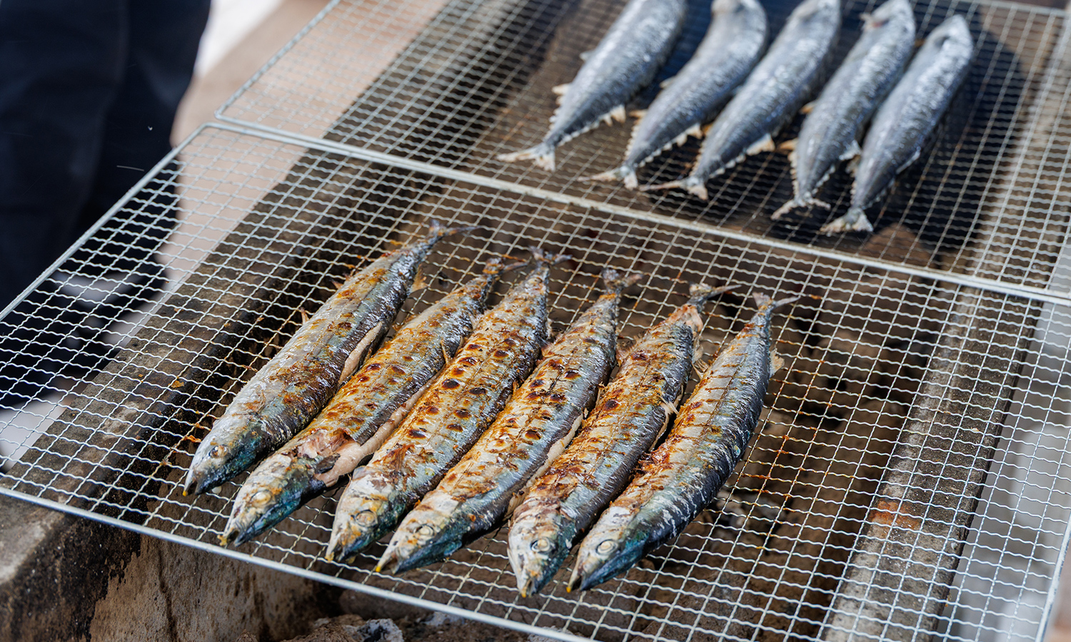 グローブライド×マッシュグループ×女川町による体感型イベント「海と釣りとファッションの祭典〜Sea, Fishing and Fashion Festival」開催！