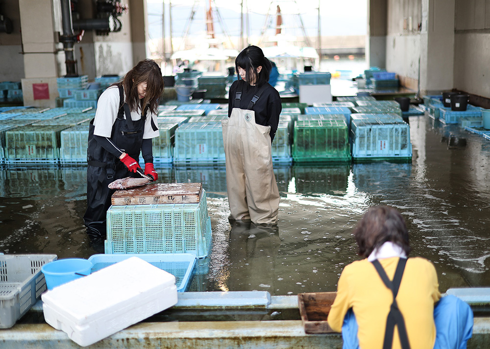 明石浦の漁業カゴがつないだもの