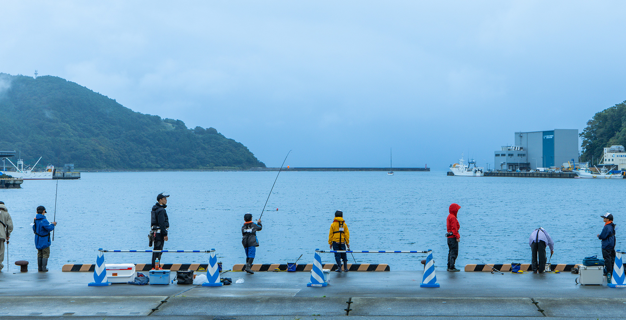 釣りを起点に、海、環境、食へと世界が広がるフェスティバル地域との結びつきもより強く、深く