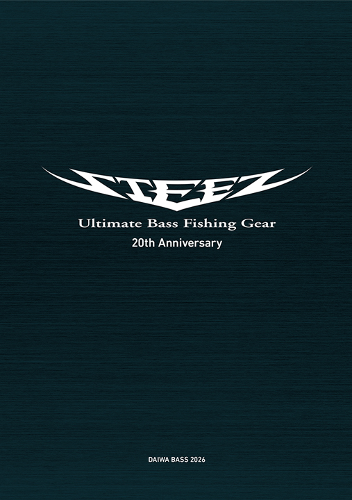 STEEZ20THANNIVERSARY