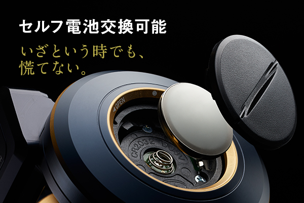 SALTIGA IC（ソルティガIC）｜DAIWA