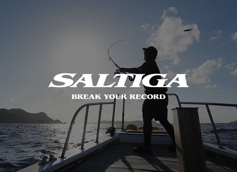 SALTIGA PRODUCTS