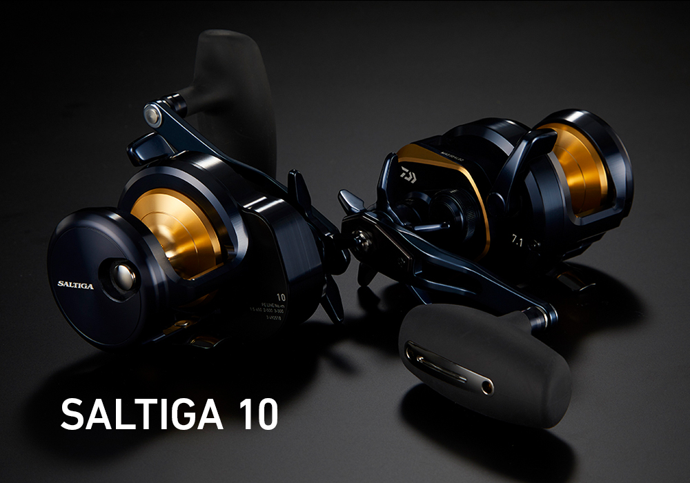 SALTIGA10