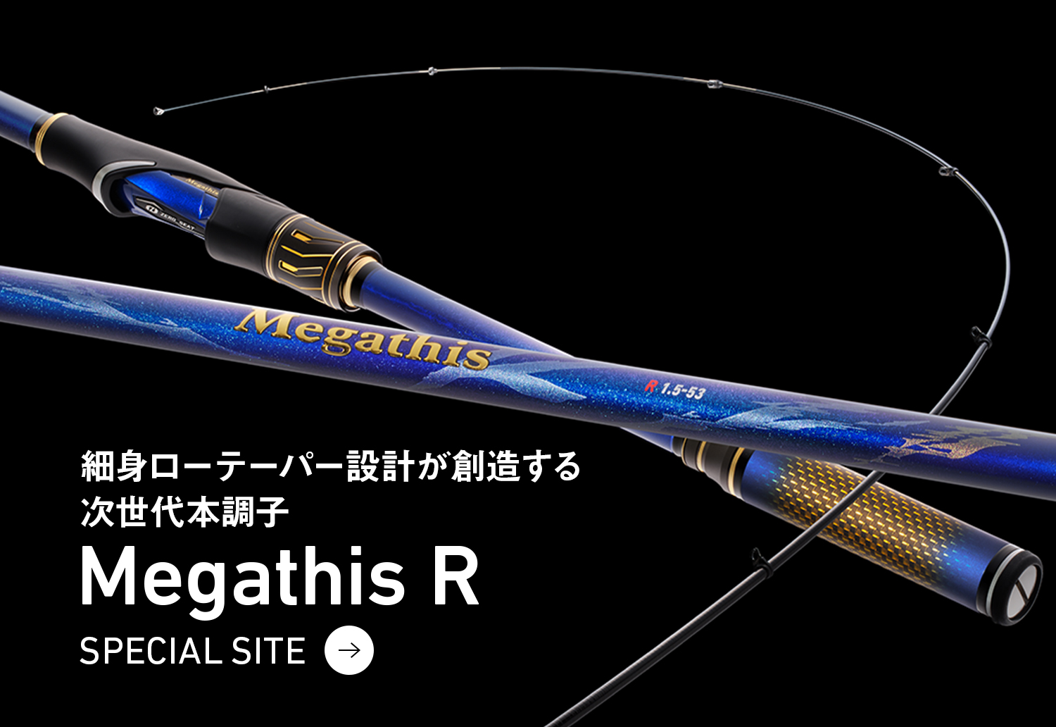 細身ローテーパー設計が創造する次世代本調子megathis