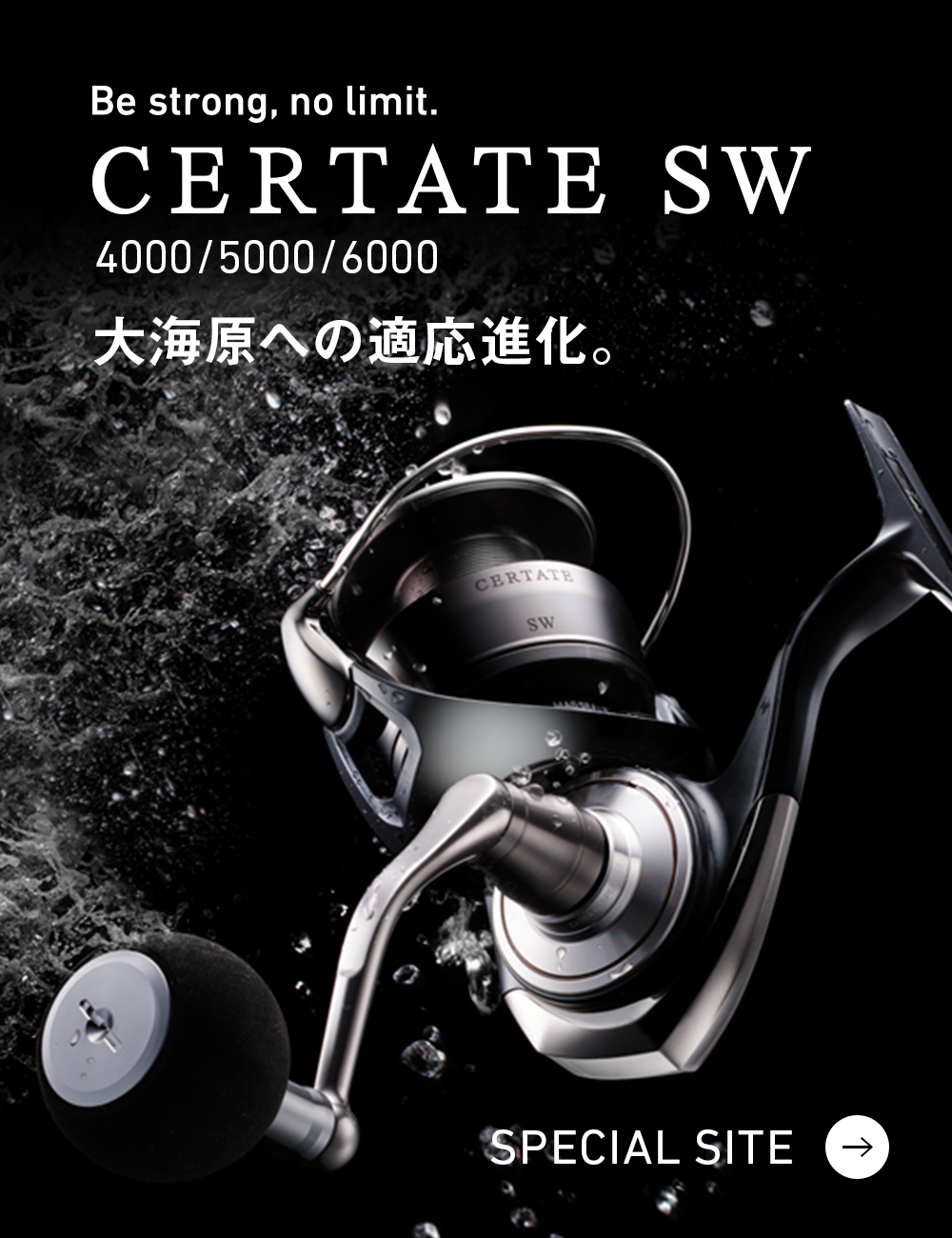 CERTATE SW