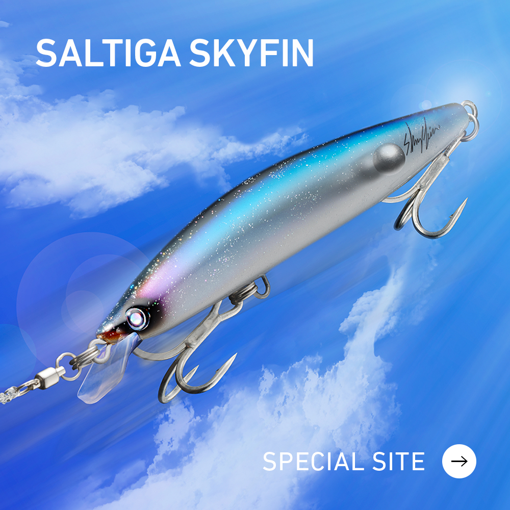 SALTIGA SKYFIN