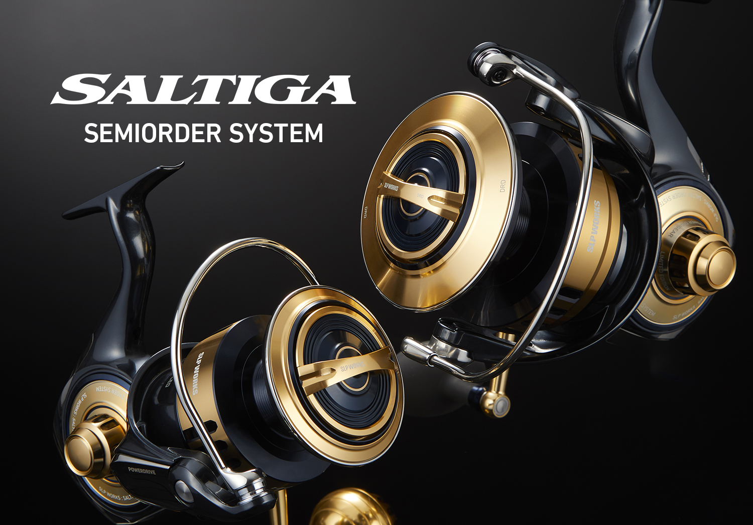 25SALTIGA8000/18000 SEMIORDER SYSTEM