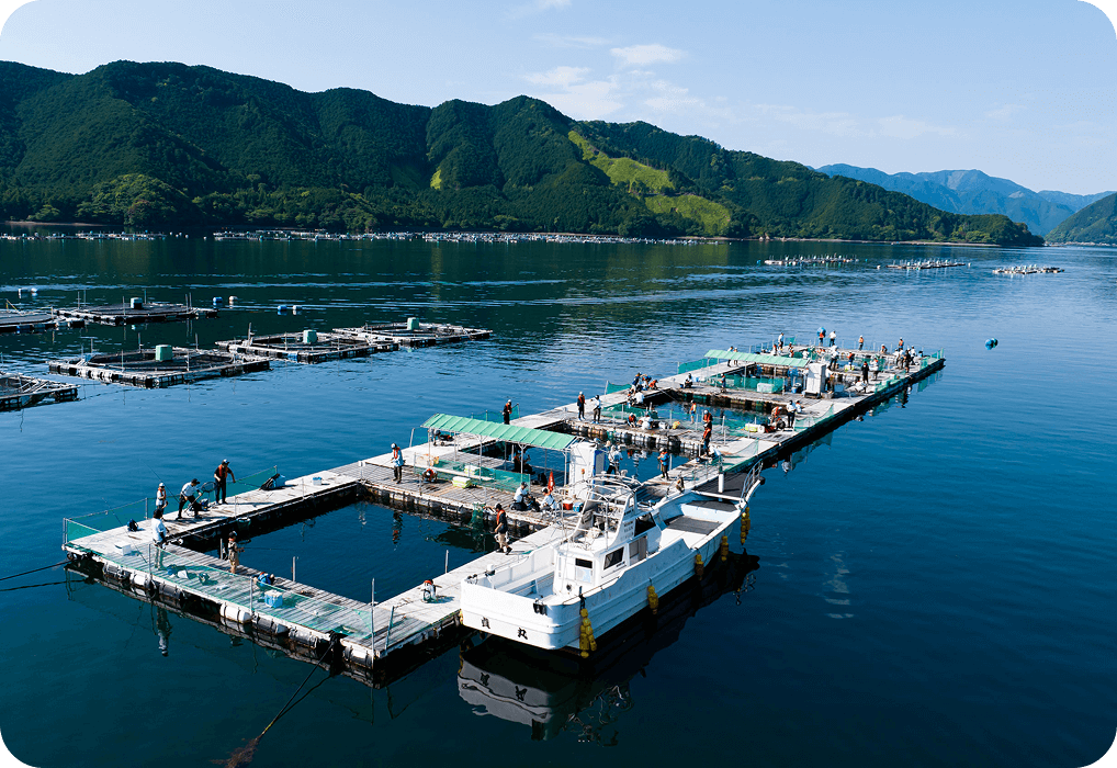 ベースキャンプ