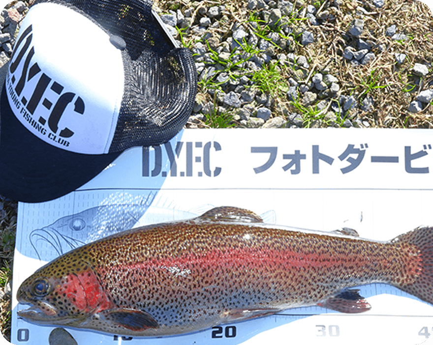 フォトダービー