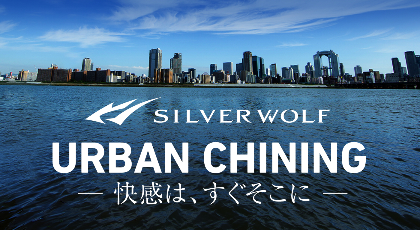 SILVER WOLF EX | DAIWA