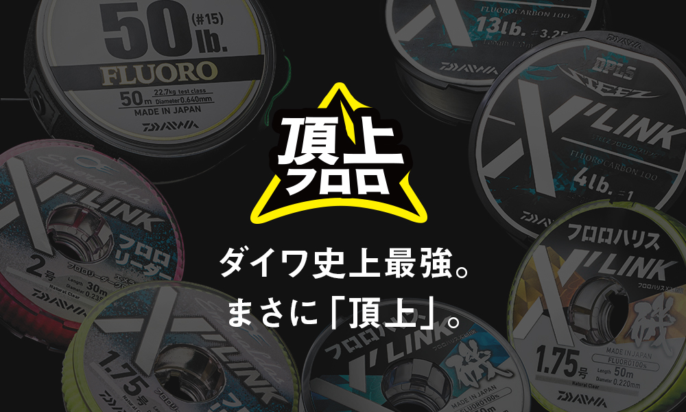 頂上フロロ