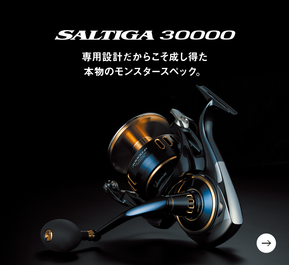 SALTIGA 30000