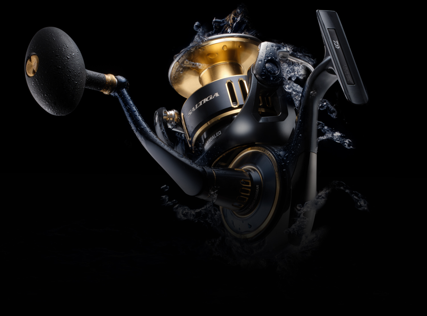 25SALTIGA｜DAIWA