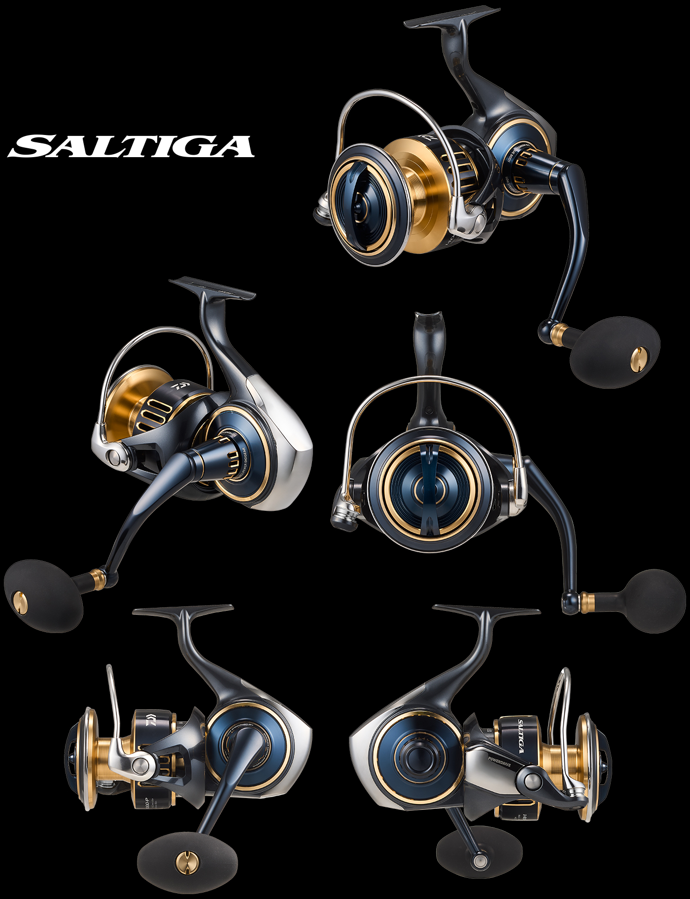 25SALTIGA｜DAIWA