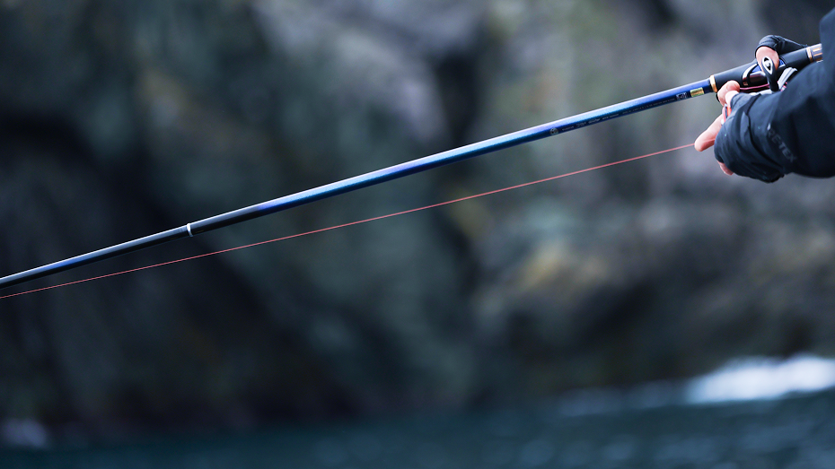 MegathisR | DAIWA