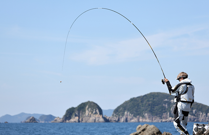 TOURNAMENT ISO LBD（トーナメント ISO LBD）